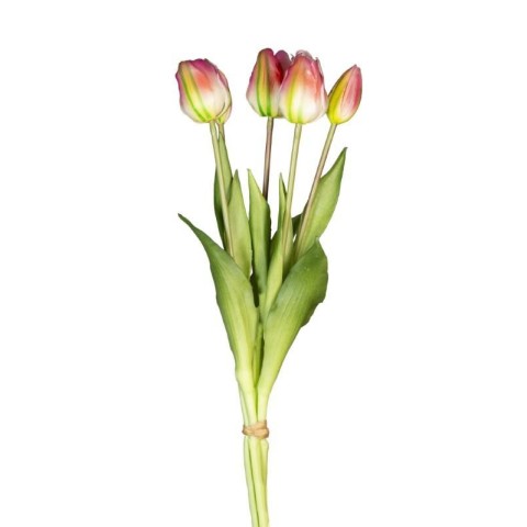 BUSH TULIPANO X5 REAL TOUCH VERDE FUXIA